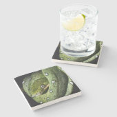 ボリビアの緑の木のヘビのエメラルドのボア ストーンコースター (横)