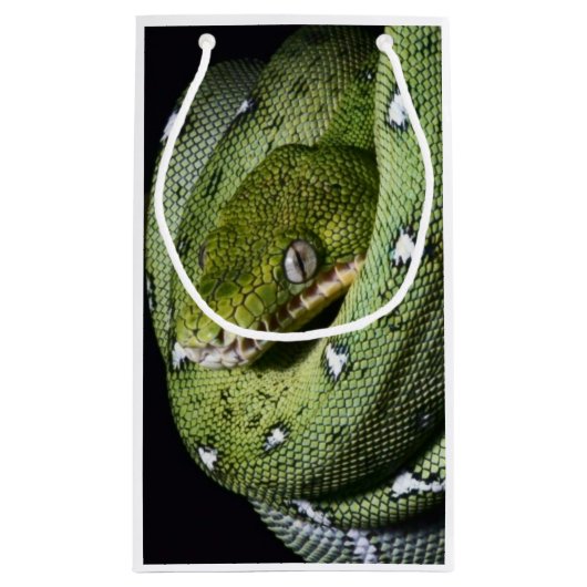 ボリビアの緑の木のヘビのエメラルドのボア スモールペーパーバッグ (裏面)