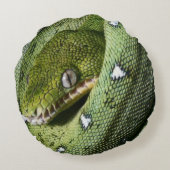 ボリビアの緑の木のヘビのエメラルドのボア ラウンドクッション (裏面)