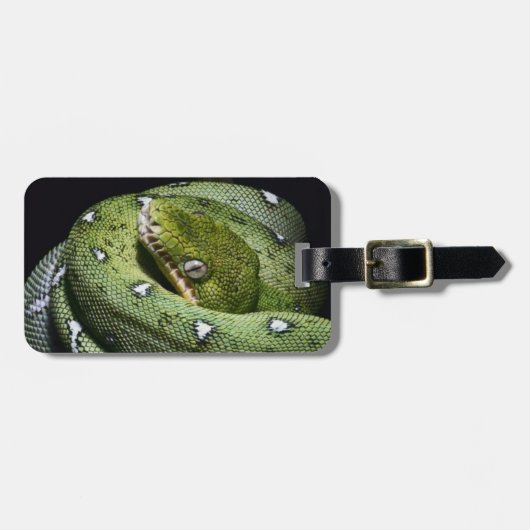 ボリビアの緑の木のヘビのエメラルドのボア ラゲッジタグ (正面横)