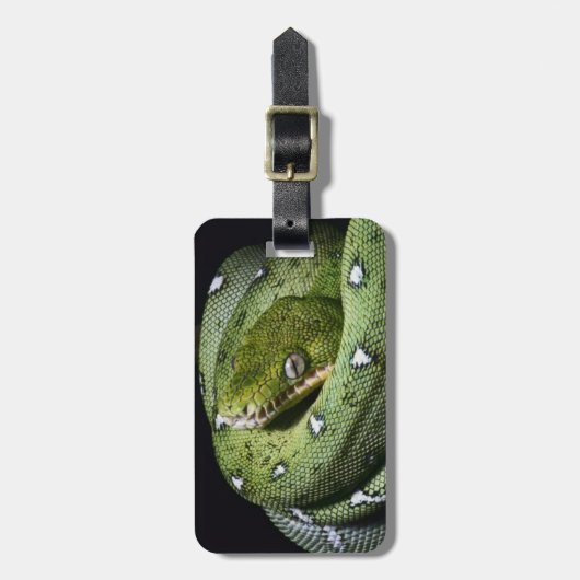 ボリビアの緑の木のヘビのエメラルドのボア ラゲッジタグ (正面縦)