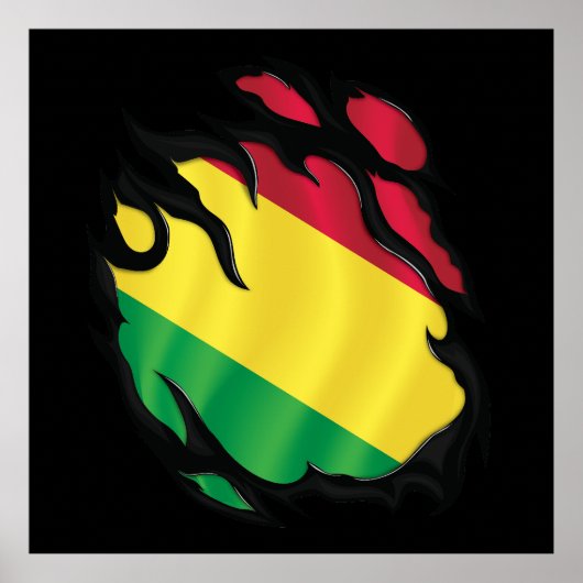 ボリビアの裂けた旗 ポスター (正面)