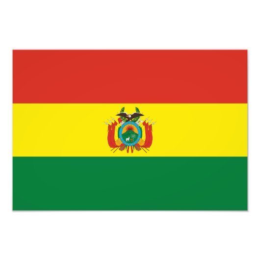 ボリビア愛国国旗 フォトプリント            (正面)