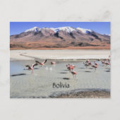 ボリビア風光明媚な風景 ポストカード (正面)