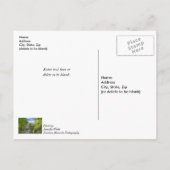 ボリンガーミルとバードビルカバーブリッジ ポストカード (裏面)