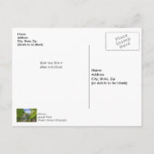 ボリンガーミルとバードビルカバーブリッジ ポストカード (裏面)