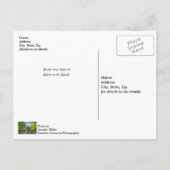 ボリンガーミルアンドバーフォードビルカバードブリッジ ポストカード (裏面)