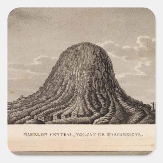 ボリー・マメロン スクエアシール (正面)