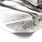 ボルゲーゼ金星c.1653 ポスター (角)