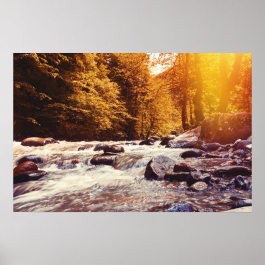 ボルジョミ，ジョージア ポスター (正面)