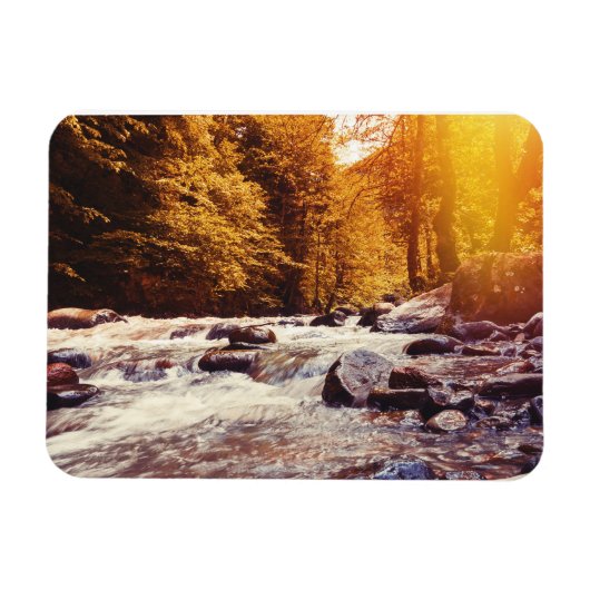 ボルジョミ，ジョージア マグネット (横)