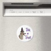 ボルゾイトリック マグネット (インサイチュ (食洗機))