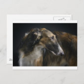 ボルゾイ ポストカード (正面/裏面)