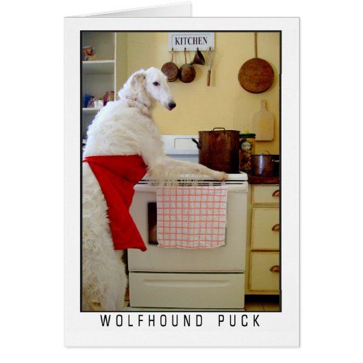 ボルゾイ ロシアン・ウルフハウンド "Wolfhound Puck" 犬 (正面)