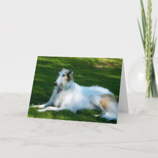 "ボルゾイ"犬の写真の挨拶状 カード