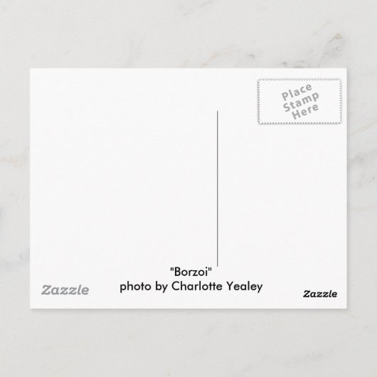 「ボルゾイ」犬の写真はがき ポストカード (裏面)
