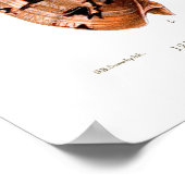 ボルタ貝 ポスター (角)