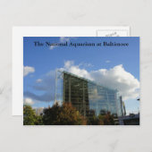 ボルチモアの国立水族館 ポストカード (正面/裏面)