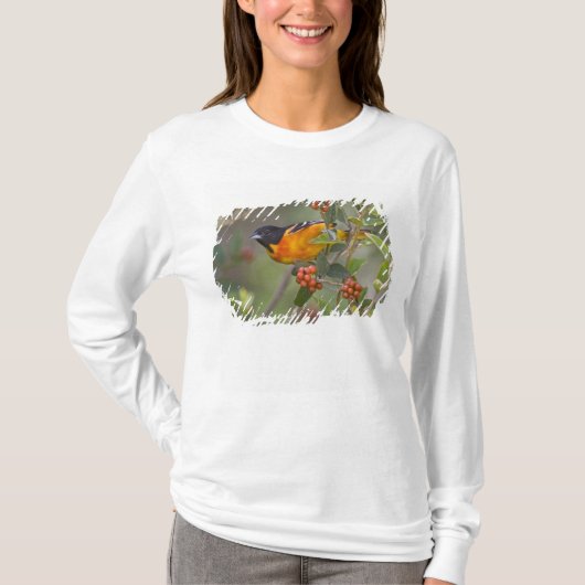 ボルチモアオオキリン Tシャツ (正面)