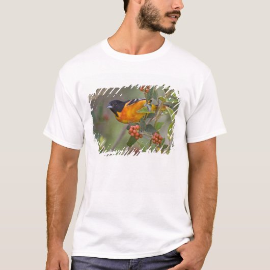 ボルチモアオオキリン Tシャツ (正面)