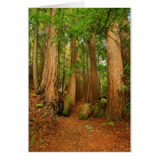 ボルチモアキャニオン