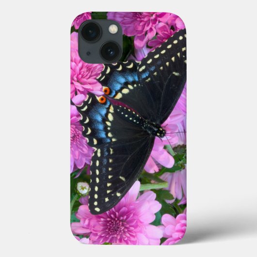 ボルチモアチェック柄バタフライ Case-Mate iPhoneケース (裏面)