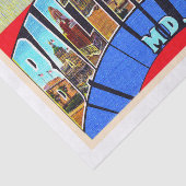 ボルチモアメリーランドヴィンテージラージレターハガキ 薄葉紙 (詳細)