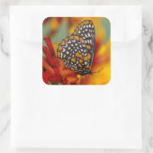 ボルチモア市松模様にタチョウ スクエアシール (バッグ)