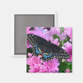 ボルチモア市松模様にタチョウ マグネット (正面/裏面)