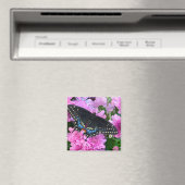 ボルチモア市松模様にタチョウ マグネット (インサイチュ (食洗機))