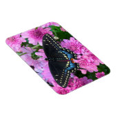 ボルチモア市松模様にタチョウ マグネット (右側)