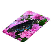 ボルチモア市松模様にタチョウ マグネット (左側)