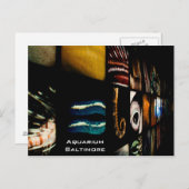 ボルチモア水族館 ポストカード (正面/裏面)