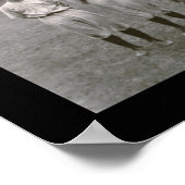 ボルチモア・オリオレス写真1921 ポスター (角)