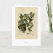 ボルチモア・オリオール – オードボンのアメリカの鳥から カード (裏面)