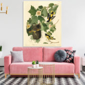 ボルチモア・オリオール – オードボンのアメリカの鳥から キャンバスプリント (インサイチュ (リビング))