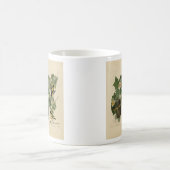 ボルチモア・オリオール – オードボンのアメリカの鳥から コーヒーマグカップ (中央)