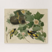 ボルチモア・オリオール – オードボンのアメリカの鳥から ジグソーパズル (横)