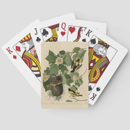 ボルチモア・オリオール – オードボンのアメリカの鳥から トランプ (裏面)