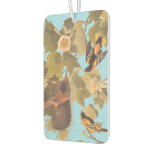 ボルチモア・オリオール・オードボンバードファミリーと巣 カーエアーフレッシュナー (左)