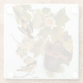 ボルチモア・オリオール・オードボンバードファミリーと巣 ガラスコースター (裏面)