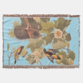 ボルチモア・オリオール・オードボンバードファミリーと巣 スローブランケット (正面)