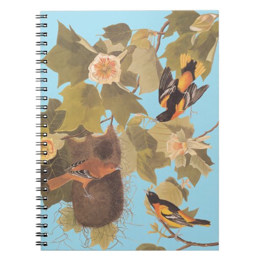 ボルチモア・オリオール・オードボンバードファミリーと巣 ノートブック (正面)