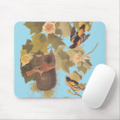 ボルチモア・オリオール・オードボンバードファミリーと巣 マウスパッド (マウス)