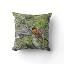 ボルチモア・オリオール