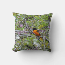 ボルチモア・オリオール クッション