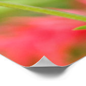 ボルチモア・オリオール ポスター (角)