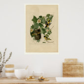 ボルチモア・オリオール ポスター (キッチン)