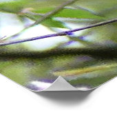 ボルチモア・オリオール ポスター (角)