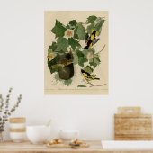 ボルチモア・オリオール ポスター (キッチン)